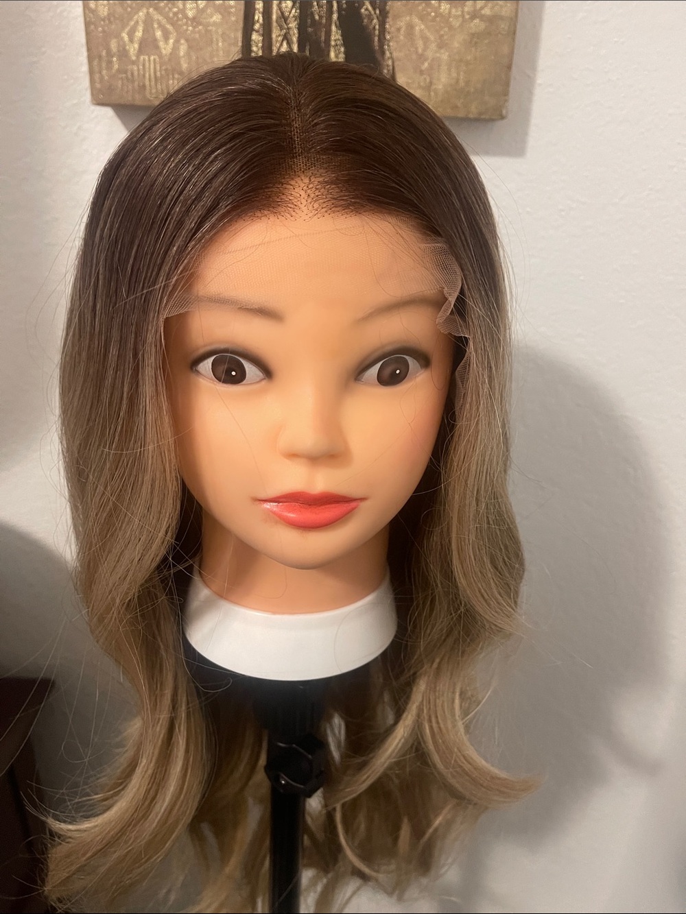 Synthetic Lace Front  Wig - Brown to Ash Blonde Ombre long NWT